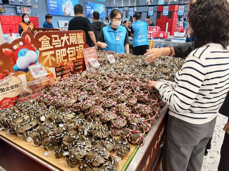 珠海进出口公司的成功案例解析